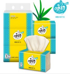 从法桐到海棠 百大商品供应链的新视角与商机洞察